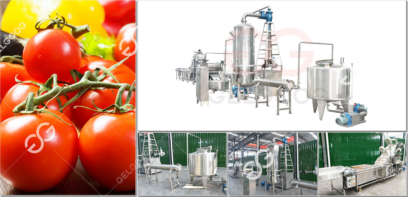 Solution De Traitement Des Tomates.jpg