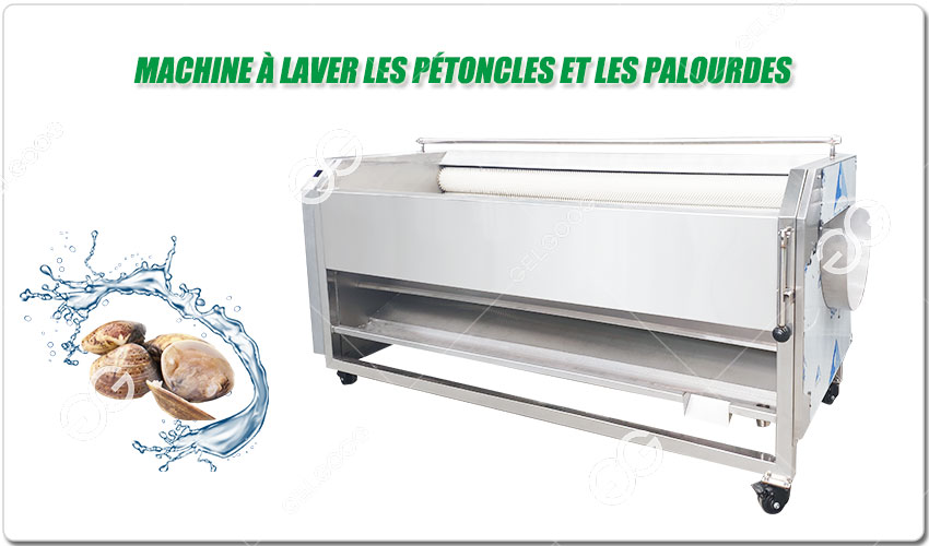 Machine À Laver Les Pétoncles Et Les Palourdes Industrielle.jpg