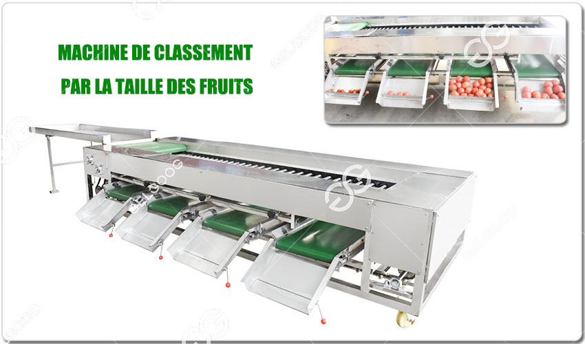 Caractéristiques De La Machine De Classement Par La Taille Des Fruits.jpg