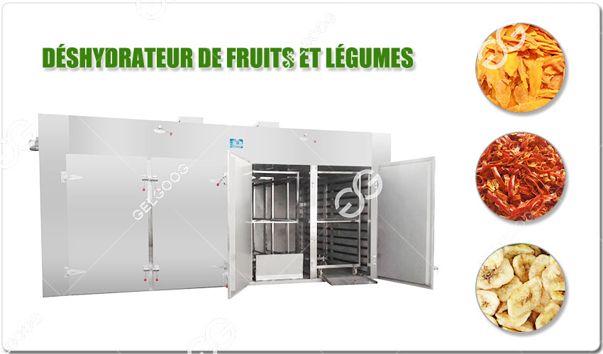 Avantage Du Déshydrateur De Fruits Et Légumes Industriel.jpg