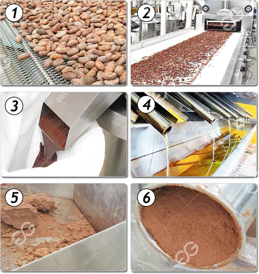 Machines De La Ligne De Transformation De Fèves De Cacao Complète 1000 Kg/H.jpg