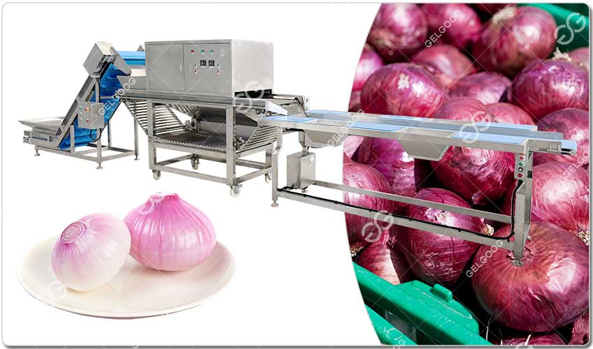Caractéristiques De La Ligne De Transformation D'Oignons.jpg