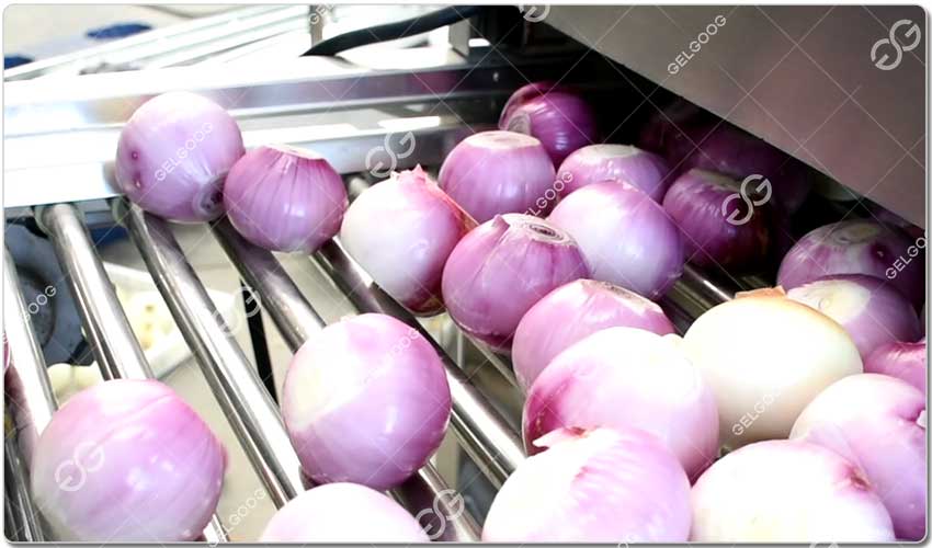 Machine D'Épluchage D'Oignons.jpg