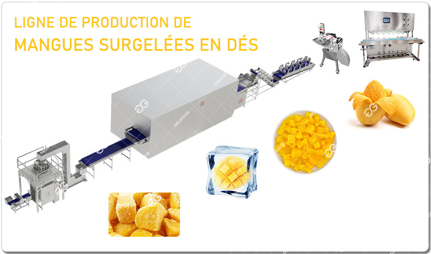 Principales Machines Des Mangues Surgelées.jpg