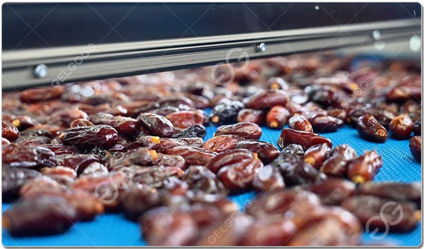 Lavage Des Dattes.jpg