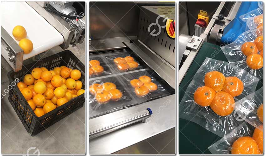 Machines De Lavage Cirage Calibrage Des Agrumes GELGOOG.jpg