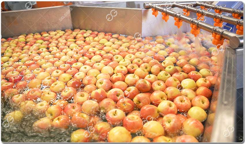 Machine De Lavage De Transformation De Pommes.jpg Machine De Lavage De Transformation De Pommes.jpg