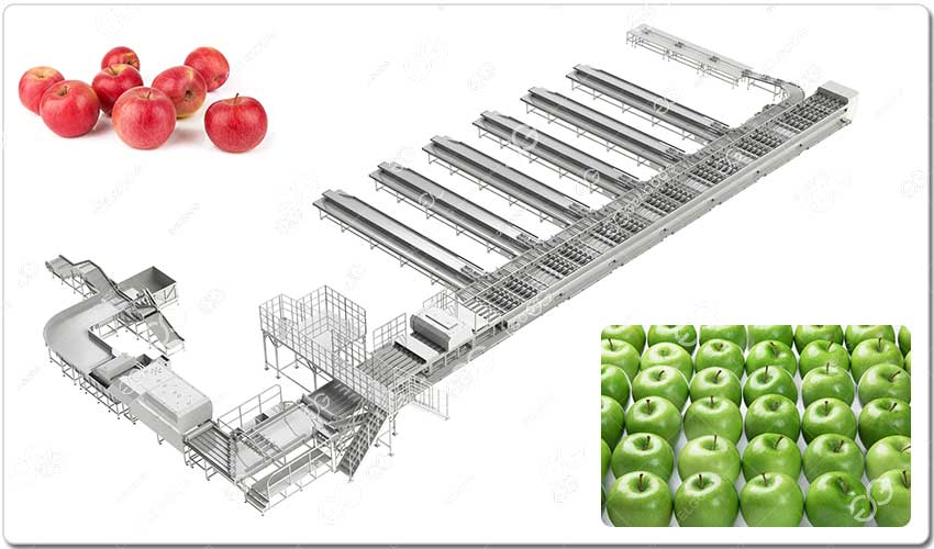 Ligne De Tri Et De Transformation De Pommes.jpg Ligne De Tri Et De Transformation De Pommes.jpg