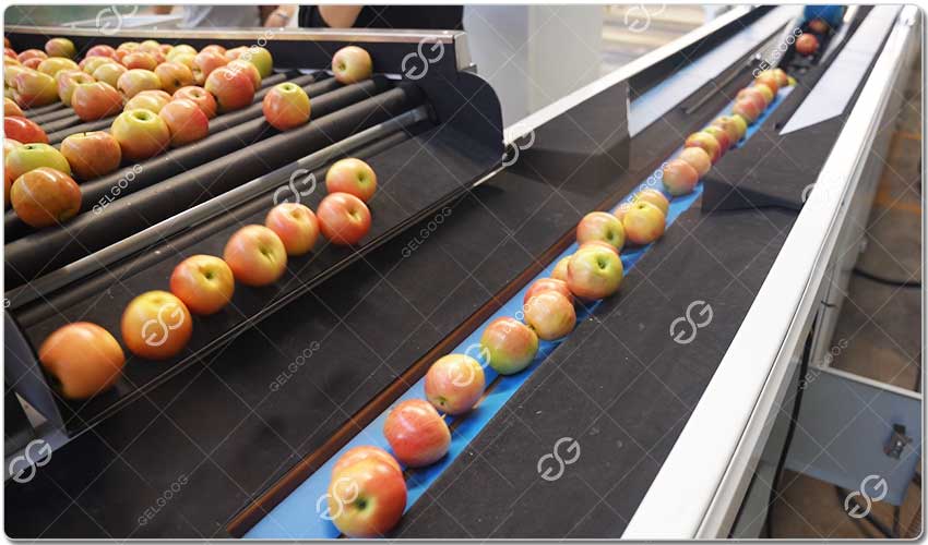 Caractéristiques De La Ligne De Tri Et De Transformation De Pommes.jpg Caractéristiques De La Ligne De Tri Et De Transformation De Pommes.jpg