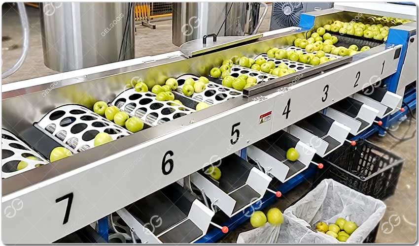 Macine De Tri Et De Transformation De Pommes.jpg Macine De Tri Et De Transformation De Pommes.jpg