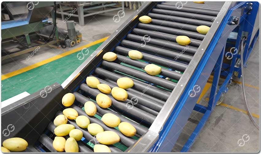 Usine De Transformation De Mangues.jpg Usine De Transformation De Mangues.jpg