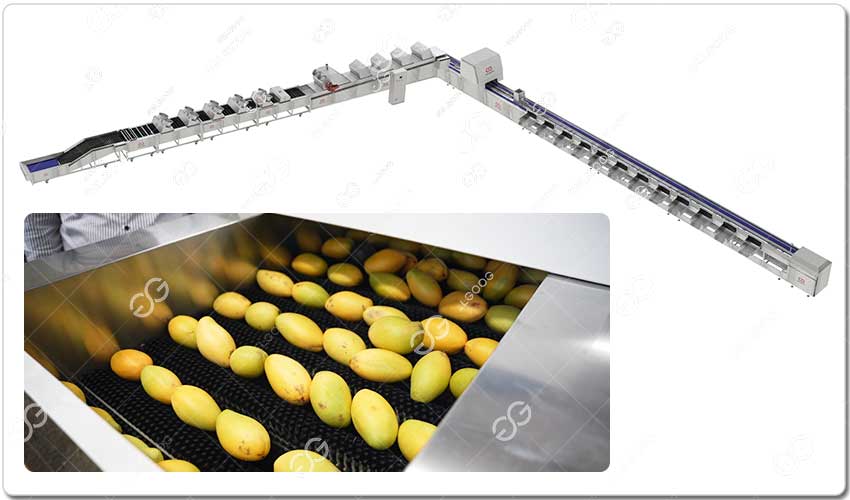 Ligne De Lavage Et De Tri Des Mangues.jpg Ligne De Lavage Et De Tri Des Mangues.jpg