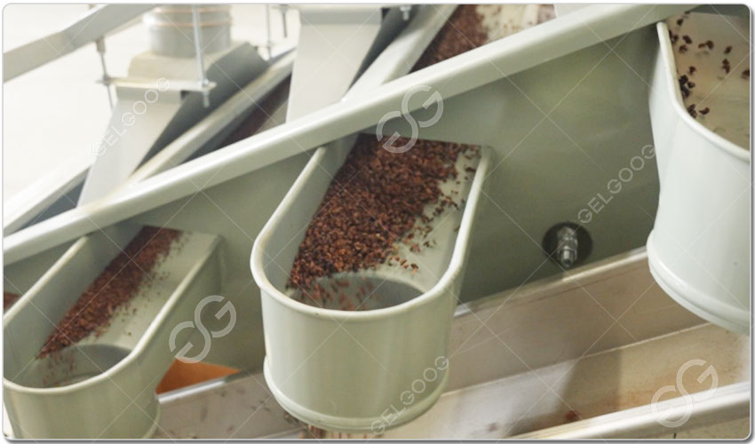 Transformation Du Cacao.jpg