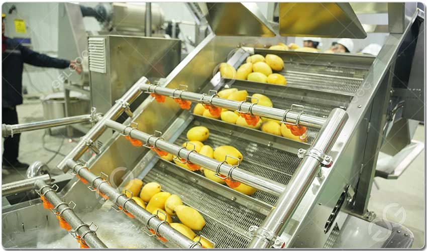 Machine De Lavage De La Mangue.jpg