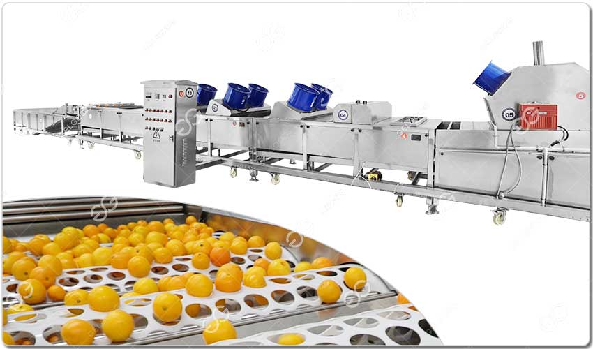 Flux De Transformation - Unité De Lavage Et De Tri Des Tangerines.jpg Flux De Transformation - Unité De Lavage Et De Tri Des Tangerines.jpg