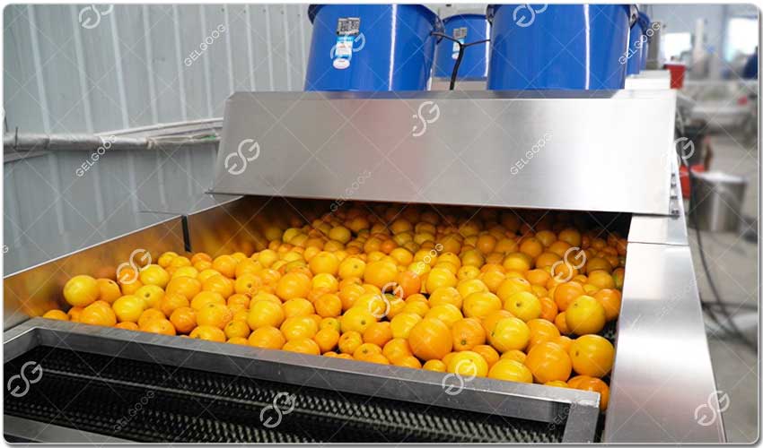 Machine De Polissage Des Tangerines.jpg Machine De Polissage Des Tangerines.jpg