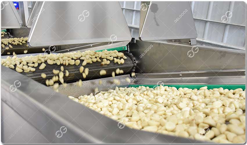 Ligne De Transformation De L'Ail.jpg Ligne De Transformation De L'Ail.jpg