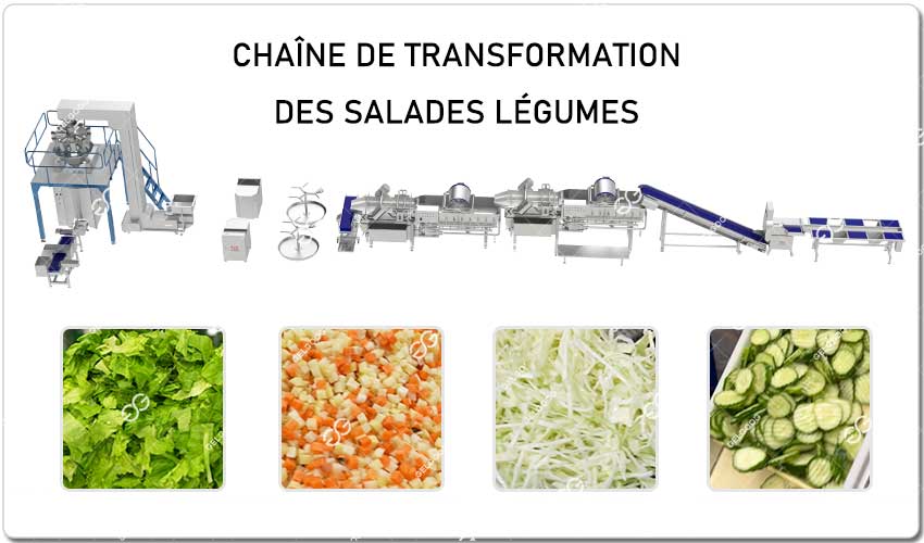 Chaîne De Transformation Des Salades Gelgoog.jpg