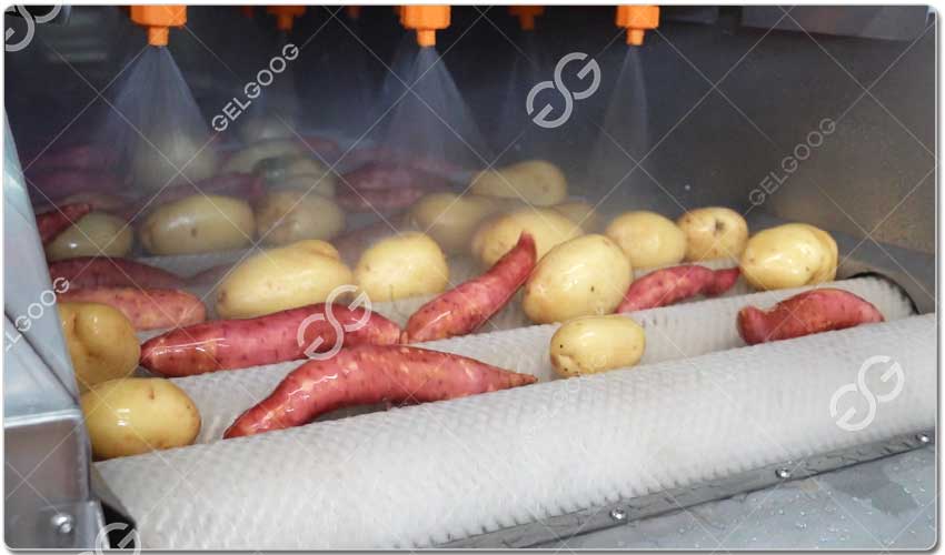 Machine De Lavage De Légumes-racines.jpg