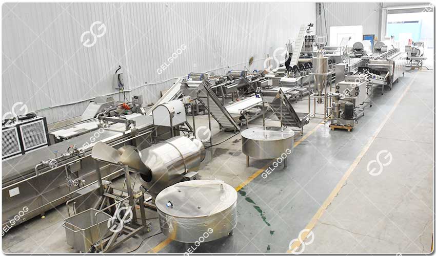 Unité De Production Des Fruits Surgelés.jpg