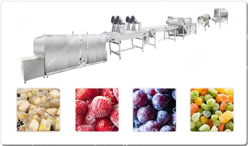 Pourquoi Choisir Notre Ligne De Transformation Des Fruits Surgelés.jpg