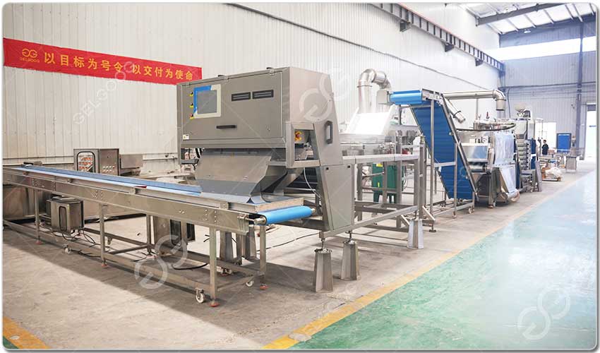 Ligne De Production Intégrée De Rondelles D'oignon.jpg