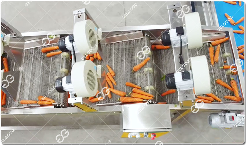 Unité De Transformation De Carottes Fraîches.jpg Unité De Transformation De Carottes Fraîches.jpg