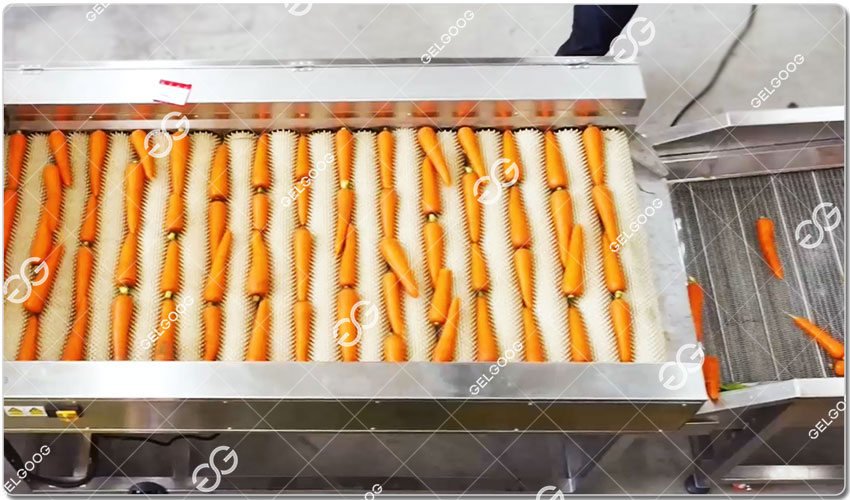 Ligne De Transformation De Carottes Fraîches.jpg Ligne De Transformation De Carottes Fraîches.jpg