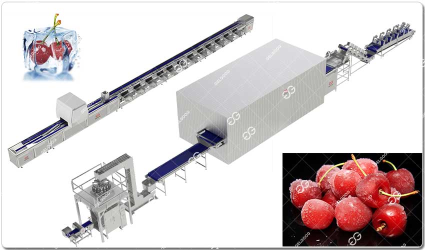 Ligne De Transformation De Cerises Surgelées.jpg