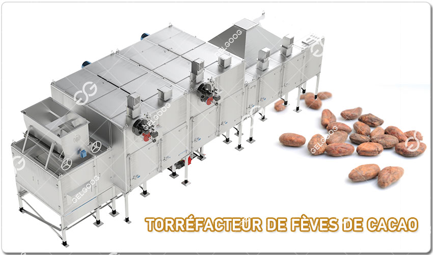 Introduction De La Torréfacteur De Fèves De Cacao.jpg