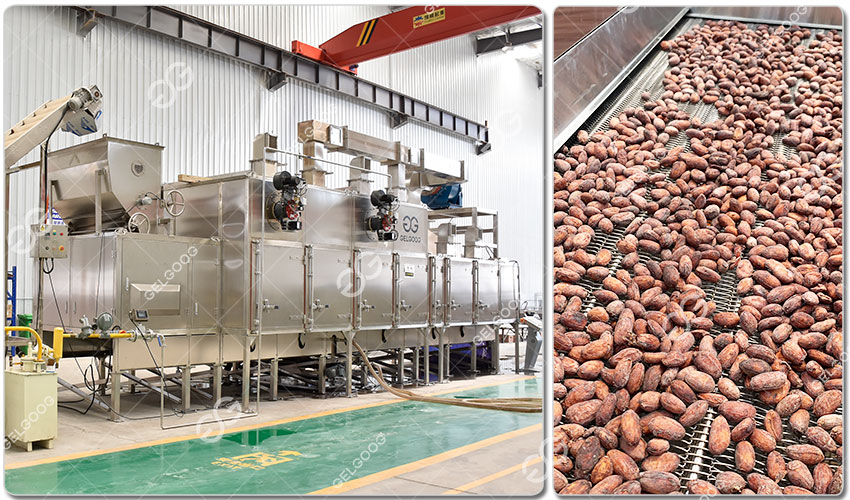 Torréfacteur De Cacao Industriel GELGOOG.jpg