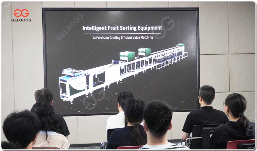 GELGOOG Lance Une Solution De Tri Intelligent Des Fruits.jpg GELGOOG Lance Une Solution De Tri Intelligent Des Fruits.jpg