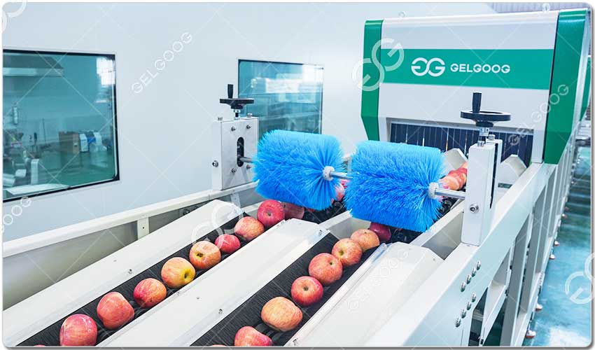 Machine de tri des pommes.jpg Machine de tri des pommes.jpg