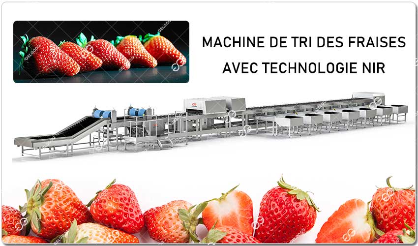 Machine De Tri Des Fraises Avec Analyse Interne.jpg