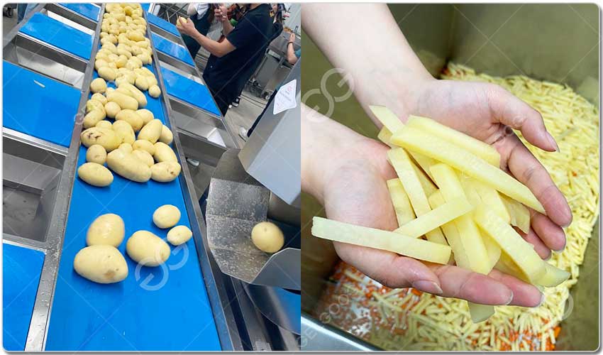 Ligne De Fabrication De Frites Fraîches.jpg Ligne De Fabrication De Frites Fraîches.jpg
