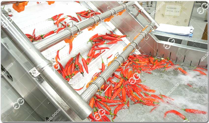 Machine À Laver Le Paprika.jpg
