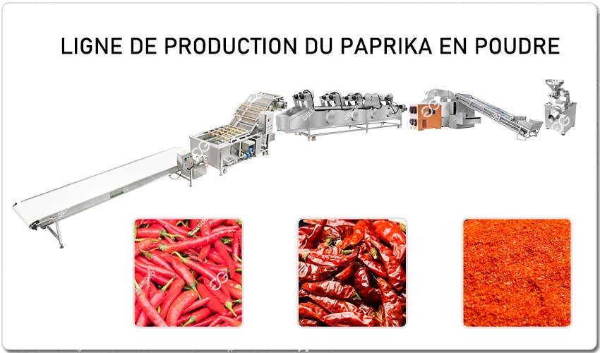 Ligne De Production Du Paprika GELGOOG.jpg