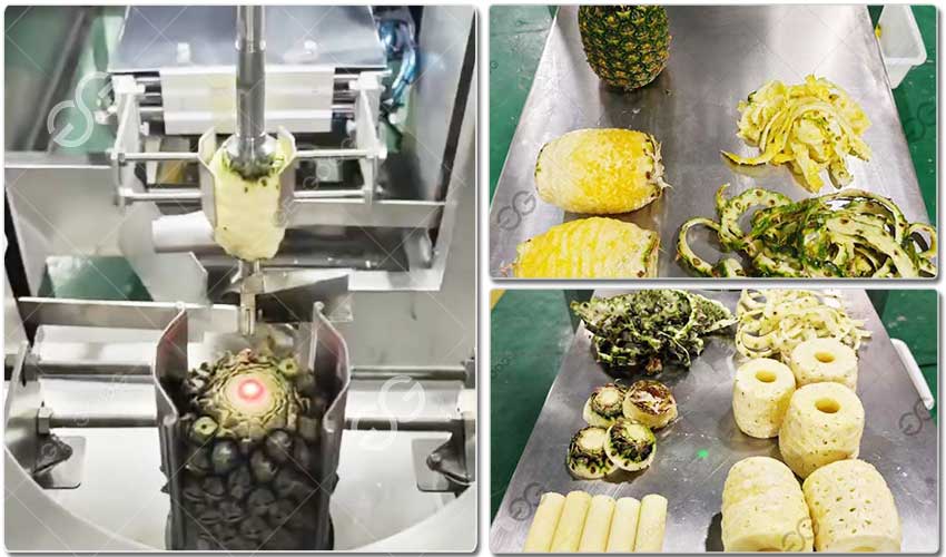 Machine À Évider Les Ananas Pour La Transformation Industrielle.jpg Machine À Évider Les Ananas Pour La Transformation Industrielle.jpg