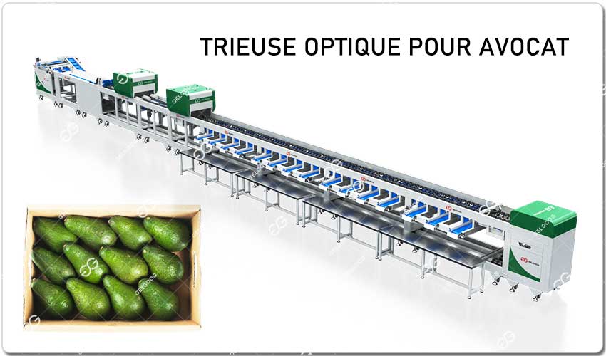 Trieuse Optique Pour Avocat.jpg
