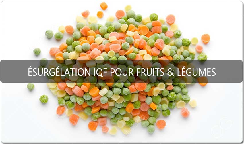 Comment Choisir Un Tunnel De Surgélation IQF Pour Fruits & Légumes.jpg Comment Choisir Un Tunnel De Surgélation IQF Pour Fruits & Légumes.jpg