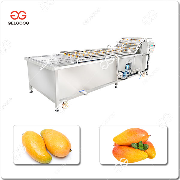 Machine À Laver Les Fruits De La Mangue Industrielle Coût