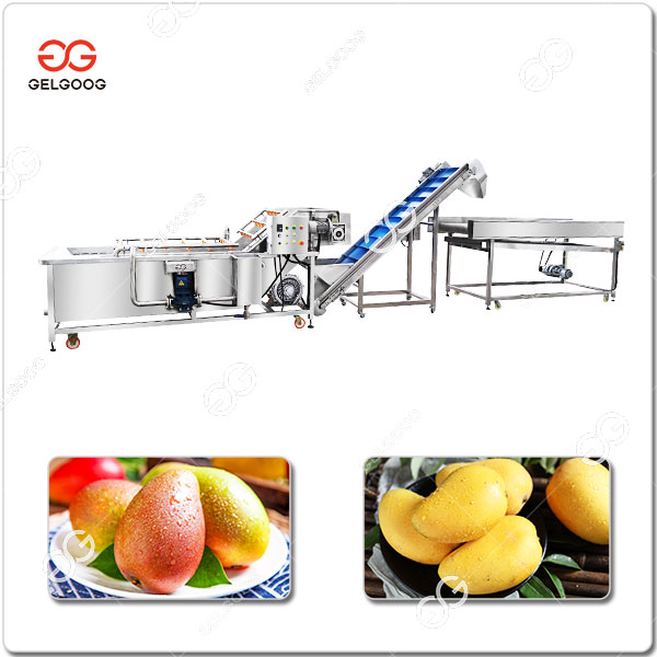 Machine À Laver Les Fruits De La Mangue Industrielle.jpg