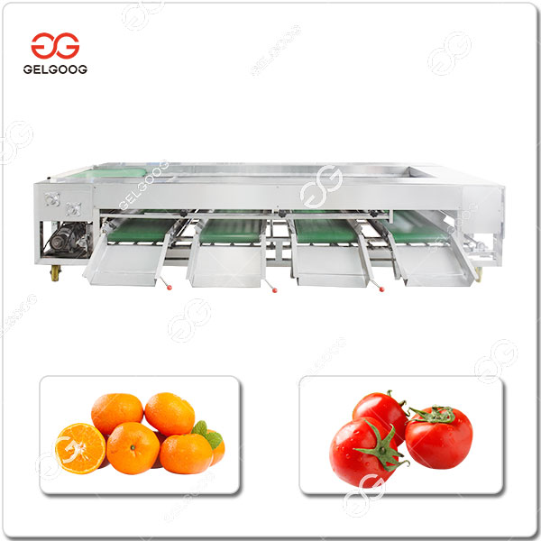 Machine De Classement Par La Taille Des Fruits Des Tomates.jpg