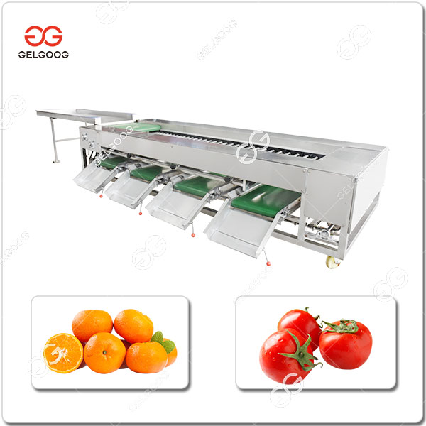 Machine De Classement Par La Taille Des Fruits Des Tomates