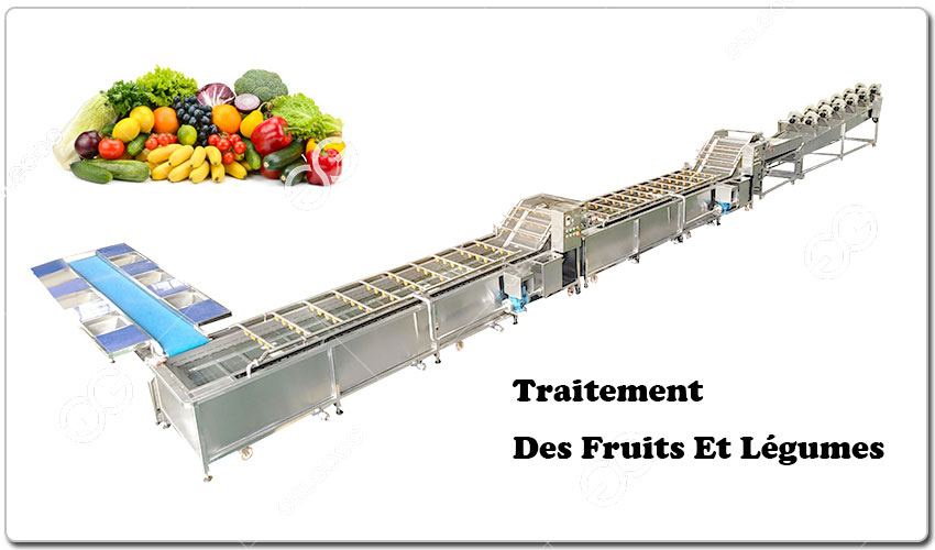 Traitement Des Fruits Et Légumes De WI Company.jpg