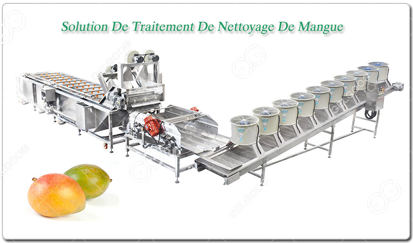 Solution De Traitement De Nettoyage De Mangue Personnalisée Pour La Société CE.jpg