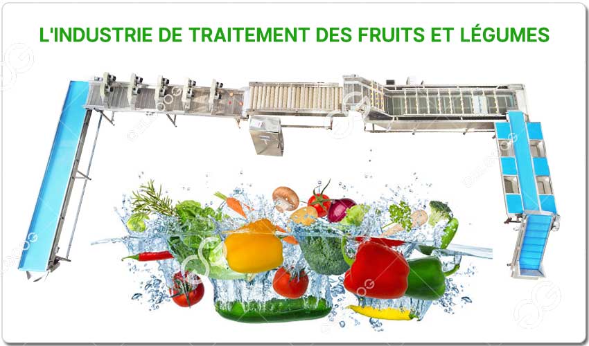 Mise À Niveau De L'industrie De Traitement Des Fruits Et Légumes Pour Un Client Philippin.jpg