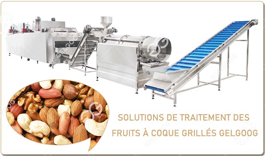 Solutions De Traitement Des Fruits À Coque Grillés GELGOOG.jpg