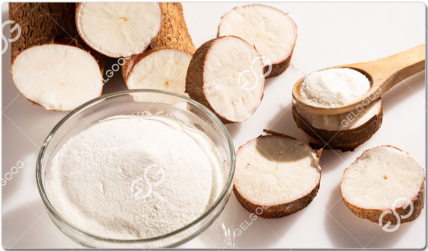 Projet De Création D'une Unité De Transformation Du Manioc