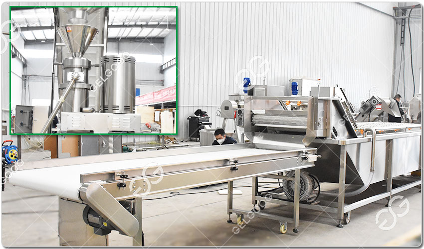 Ligne De Production De Broyage D'ail : Équipement Et Processus